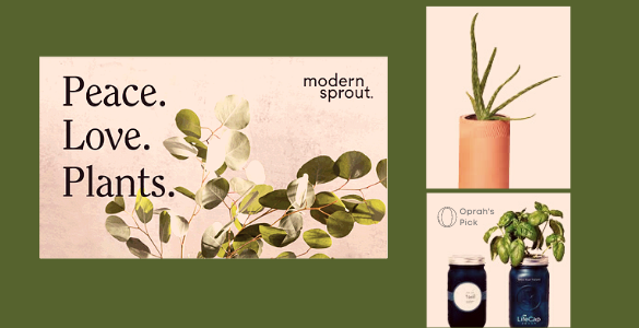 modern sprout promo